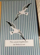Cahier d'exploration